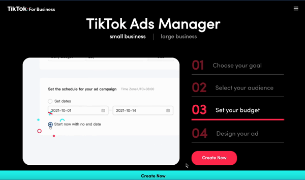 Tik Tok Ad Landscape and why its important tot be platform specific for your marketing strategy