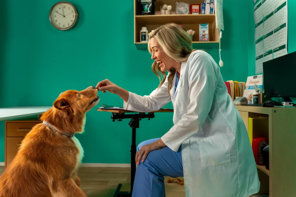 A veterinarian in a white coat feeds a treat to a brown dog in an exam room with teal walls and veterinary equipment in the background.