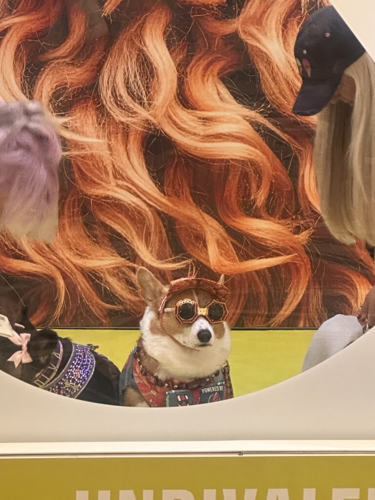 A corgi wearing sunglasses and a colorful vest sits in front of a wavy orange backdrop, with two people partially visible on either side.